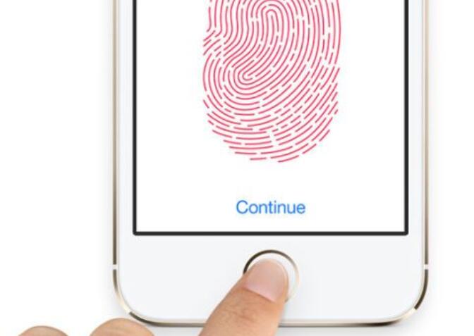 指纹传感器定义_指纹传感器的应用