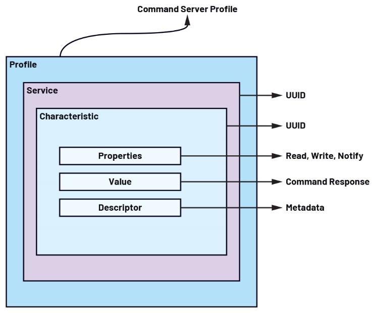A diagram of a command server profile
AI-generated content may be incorrect.