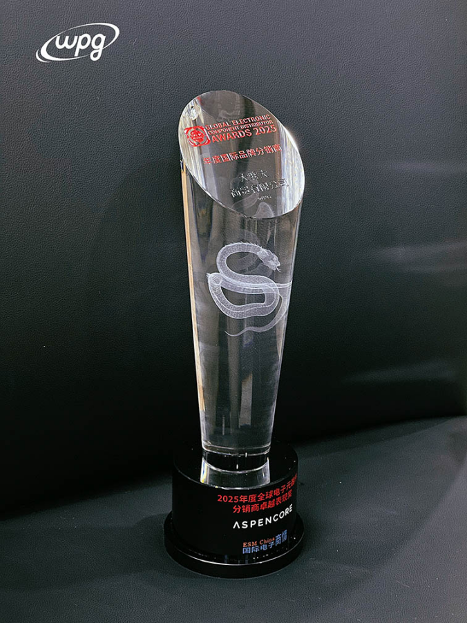 25年蝉联！大联大连续获得“年度国际品牌分销商”奖