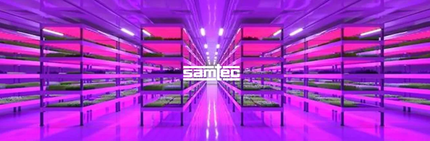 垂直农业的挑战 | Samtec新型农业漫谈系列一