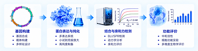 从规模化制造到AI驱动研发–擎科生物加速构建分子研发与智造闭环
